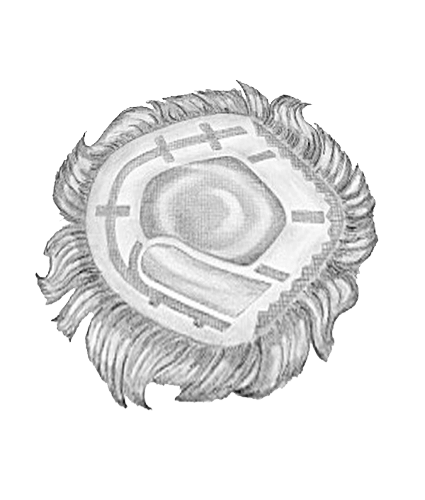 Excel Synthetic Hair-Piece (Special Order Only)